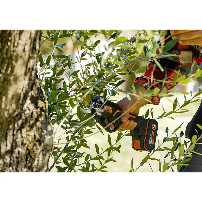 Worx PowerShare 20V Akku-Astschere WG330E.9 - 20 V, Ohne Akku, Max. Aststärke: 25 mm - Ein Mann benutzt eine Worx Nitro Akku-Astschere zum Beschneiden eines Baumes.