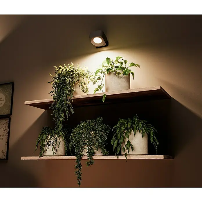 Lavida Akku-Wandleuchte Mirano - L x B x H: 9,25 x 7,65 x 4,5 cm, 2 W, Schwarz, Mehrfarbig, Eckig - Zimmerpflanzen auf Regalen werden von einer modernen grauen LED-Wandleuchte beleuchtet, die ein warmes, einladendes Licht ausstrahlt.