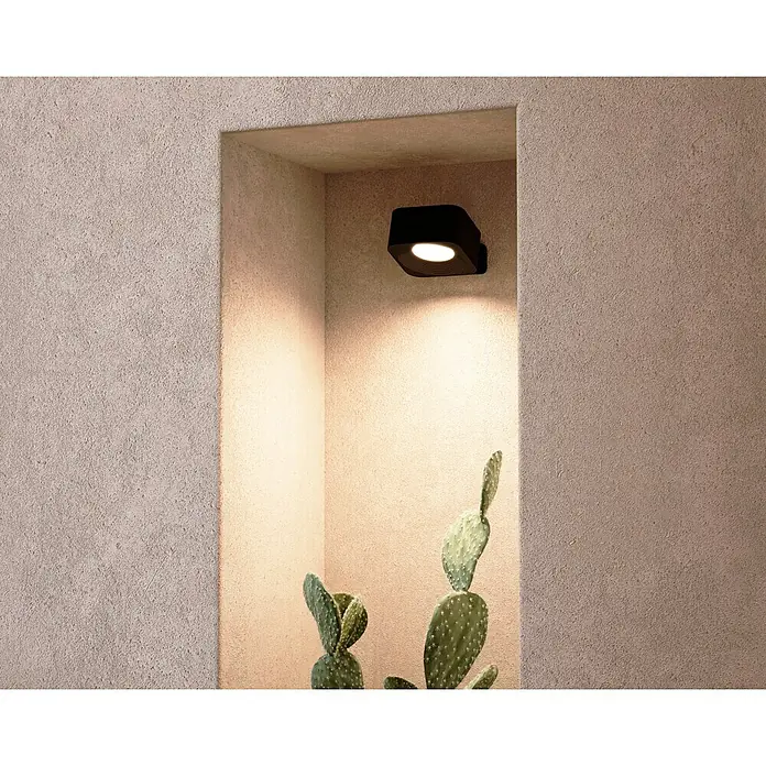 Lavida Akku-Wandleuchte Mirano - L x B x H: 9,25 x 7,65 x 4,5 cm, 2 W, Schwarz, Mehrfarbig, Eckig - Eine moderne, schwarze Wandleuchte beleuchtet eine Nische mit einem Kaktus. Die Lampe spendet warmes, einladendes Licht und setzt Akzente.