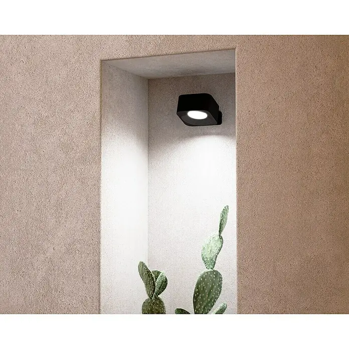 Lavida Akku-Wandleuchte Mirano - L x B x H: 9,25 x 7,65 x 4,5 cm, 2 W, Schwarz, Mehrfarbig, Eckig - Nahaufnahme einer schwarzen Innenwandleuchte, die einen Kaktus in einer Mauernische beleuchtet. Die Leuchte sorgt für ein helles und fokussiertes Licht.