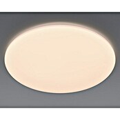 Eglo Okrugla stropna LED svjetiljka (36 W, Bijele boje, Ø x V: 500 x 55 mm)