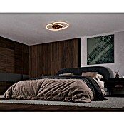 Paul Neuhaus LED-Deckenleuchte YUKI (48 W, L x B x H: 66,8 x 50 x 5 cm, Stahl, Mehrfarbig) | BAUHAUS