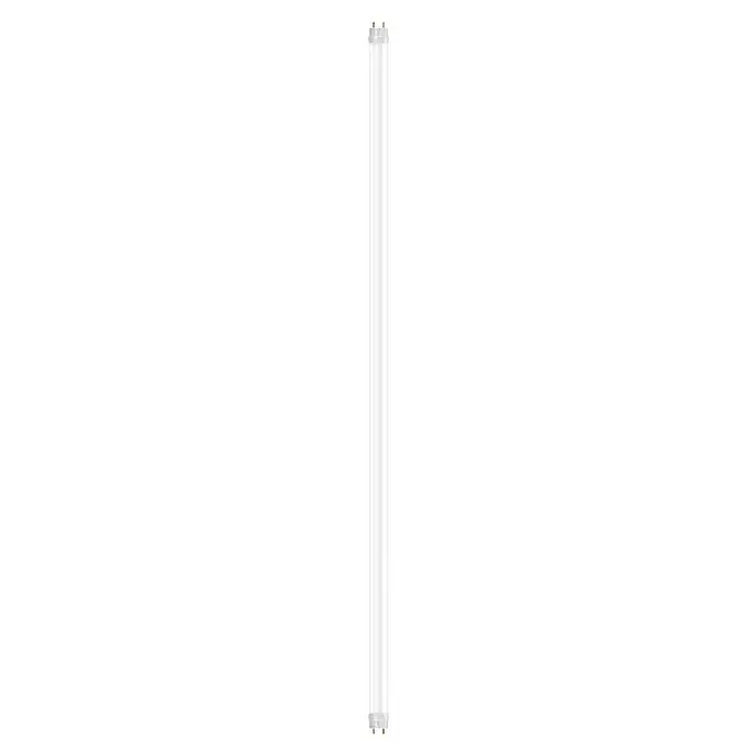 Osram LED-Röhre Biolux - Länge: 121,3 cm, Tageslichtweiß, G13 - Eine Nahaufnahme einer leeren Leinwand mit subtilen Texturen, ideal für Hintergründe oder kreative Projekte.