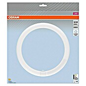 Osram Leuchtstoffröhre LED TUBE T9 EM (Länge: 30 cm, Neutralweiß, 19 W, 2 200 lm, G10q) | BAUHAUS