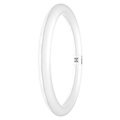 Osram Leuchtstoffröhre LED TUBE T9 EM (Länge: 30 cm, Neutralweiß, 19 W, 2 200 lm, G10q) | BAUHAUS