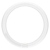 Osram Leuchtstoffröhre LED TUBE T9 EM (Länge: 30 cm, Neutralweiß, 19 W, 2 200 lm, G10q) | BAUHAUS