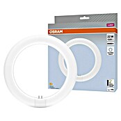 Osram LED-Röhre LED TUBE T9 EM (Länge: 21,2 cm, Kaltweiß, 11 W, 1 320 lm, G10q) | BAUHAUS