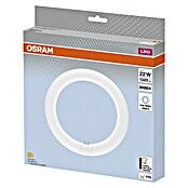 Osram LED-Röhre LED TUBE T9 EM (Länge: 21,2 cm, Kaltweiß, 11 W, 1 320 lm, G10q) | BAUHAUS
