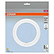 Osram Led-buis LED TUBE T9 EM (Lengte: 21,2 cm, Koud wit, 11 W, 1.320 lm, G10q) | BAUHAUS