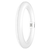 Osram LED-Röhre LED TUBE T9 EM (Länge: 21,2 cm, Kaltweiß, 11 W, 1 320 lm, G10q) | BAUHAUS
