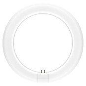 Osram LED-Röhre LED TUBE T9 EM (Länge: 21,2 cm, Kaltweiß, 11 W, 1 320 lm, G10q) | BAUHAUS