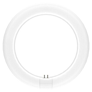 Osram Tubo fluorescente LED TUBE T9 EM (Largo: 21,2 cm, Blanco frío, 11 W, 1.320 lm, G10q)
