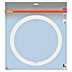 Osram Tubo LED LED (Largo: 40 cm, Blanco frío, 24 W, 2.900 lm, G10q) | BAUHAUS