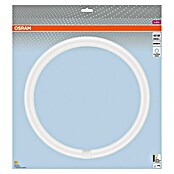 Osram LED Leuchtstoffröhre LED TUBE T9 EM (Länge: 40 cm, Kaltweiß, 24 W, 2 900 lm, G10q) | BAUHAUS