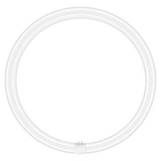 Osram LED Leuchtstoffröhre LED TUBE T9 EM (Länge: 40 cm, Kaltweiß, 24 W, 2 900 lm, G10q)