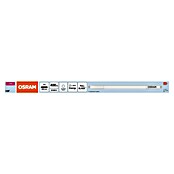 Osram LED cjevasta žarulja  (Duljina: 30,2 cm, Hladna bijela, 4 W, 400 lm, G5) | BAUHAUS