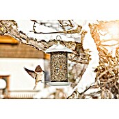 Windhager Vogelhaus Happy Bird (L x B x H: 19 x 26 x 31 cm, Schwarz/Silber, Metall, Lackiert)