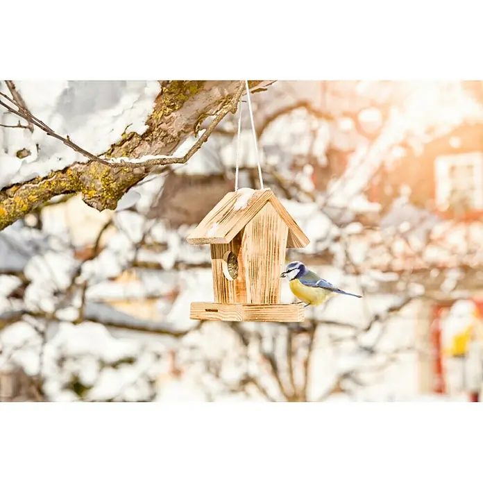 Windhager Vogelhaus - L x B x H: 18,5 x 14,5 x 23,5 cm, Natur, Geflammt, Holz - Ein hölzernes Vogelhaus hängt an einem Ast mit einer Blaumeise, die darauf sitzt, vor einem verschneiten Hintergrund.