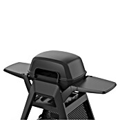 Grandstate Gasgrill Black Kite 200 (Grillfläche (B x T): 57 x 38 cm, 7,2 kW, Anzahl Brenner: 2 Stk.) | BAUHAUS