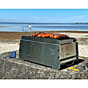 Bruzz Willi Gasgrill BW 1.1 - Wander Edition (Grillfläche (B x T): 39 x 19,5 cm, 3,5 kW, Anzahl Brenner: 1 Stk.) | BAUHAUS