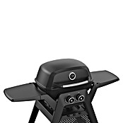 Grandstate Gasgrill Black Kite 200 (Grillfläche (B x T): 57 x 38 cm, 7,2 kW, Anzahl Brenner: 2 Stk.) | BAUHAUS
