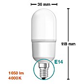 Osram Star LED žarulja  (E14, Bez prigušivanja, Hladna bijela, 1.050 lm, 10 W) | BAUHAUS