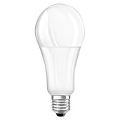 Osram LED svjetiljka (21 W, E27, Topla bijela, Može se prigušiti, Mat)