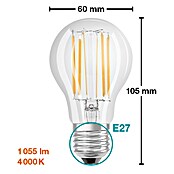 Osram Star LED žarulja  (E27, Bez prigušivanja, Hladna bijela, 1.055 lm, 7,5 W) | BAUHAUS