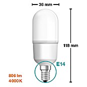 Osram Star LED žarulja  (E14, Bez prigušivanja, Hladna bijela, 806 lm, 8 W) | BAUHAUS