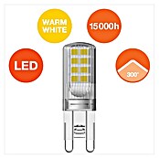 Osram Star LED svjetiljka (2,6 W, G9, Boja svjetla: Topla bijela, Bez prigušivanja, Kutno)