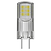 Osram Star LED žarulja  (GY6,35, Bez prigušivanja, Topla bijela, 300 lm, 2,6 W) | BAUHAUS