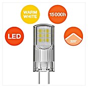 Osram Star LED svetlobni vir Pin 30  (GY6,35, Ni mogoče zatemniti, Toplo bela, 300 lm, 2,6 W) | LED luči | Svetlila | Elektro in svetila | Izdelki | BAUHAUS