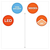 Osram LED cev SubstiTube Star ST8S-EM 20  (Dolžina: 120 cm, Dnevno bela, 15 W, 1.700 lm, G13) | 3497 - LED Röhren | CBJF - Leuchtstoffröhren | CBJ - Leuchtmittel | CB - Elektroinstallation | C - Elektro | BAUHAUS