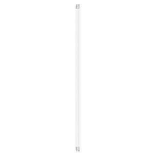 Osram SubstiTube Basic LED cev T8 EM Motion Sensor (Dolžina: 151,3 cm, Hladno bela, 19,3 W, 3.100 lm, G13)