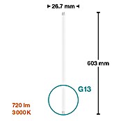 Osram LED cev SubstiTube Star ST8S-EM 20  (Dolžina: 603 mm, Toplo bela, 6,6 W, 720 lm, G13) | 3497 - LED Röhren | CBJF - Leuchtstoffröhren | CBJ - Leuchtmittel | CB - Elektroinstallation | C - Elektro | BAUHAUS