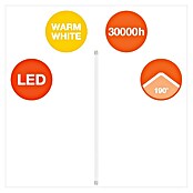 Osram LED cev SubstiTube Star ST8S-EM 20  (Dolžina: 603 mm, Toplo bela, 6,6 W, 720 lm, G13) | 3497 - LED Röhren | CBJF - Leuchtstoffröhren | CBJ - Leuchtmittel | CB - Elektroinstallation | C - Elektro | BAUHAUS
