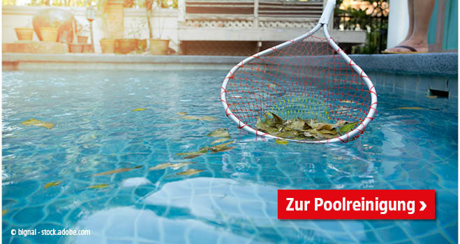 Poolreinigung