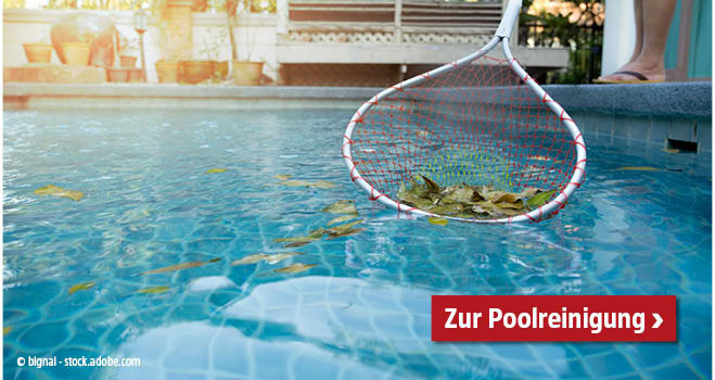 Mit einem Kescher werden Blätter aus dem Pool gefischt