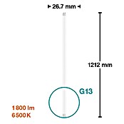 Osram LED cev SubstiTube Star ST8S-EM 20  (Dolžina: 120 cm, Dnevno bela, 15 W, 1.700 lm, G13) | 3497 - LED Röhren | CBJF - Leuchtstoffröhren | CBJ - Leuchtmittel | CB - Elektroinstallation | C - Elektro | BAUHAUS