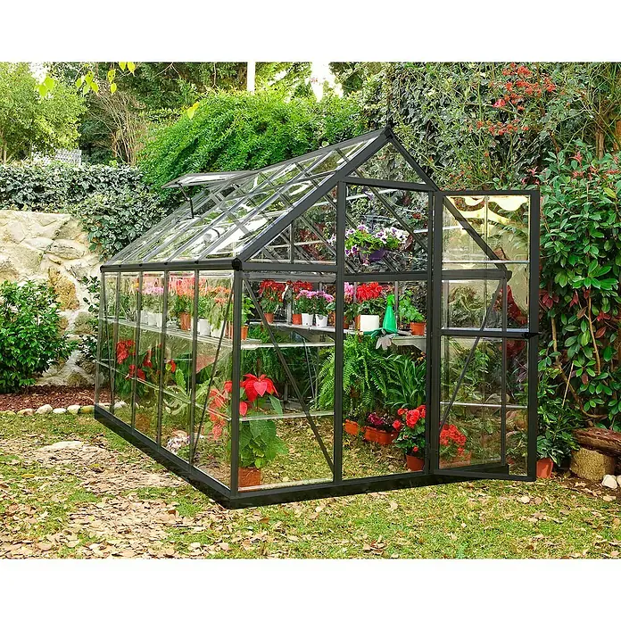 Palram – Canopia Invernadero Harmony - Medidas ext. (An x Pr): 185 x 306 cm, Gris/Transparente, Área: 5,7 m² - Invernadero lleno de plantas. El invernadero está lleno de varias plantas y flores. Está situado en un jardín.