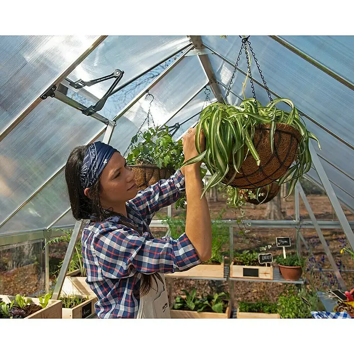 Palram – Canopia Invernadero Balance - Medidas ext. (An x Pr): 244 x 367 cm, 0,7 mm, Plateado/Transparente - Una mujer en un invernadero cuidando plantas colgantes, rodeada de una variedad de plantas en macetas y cajas.