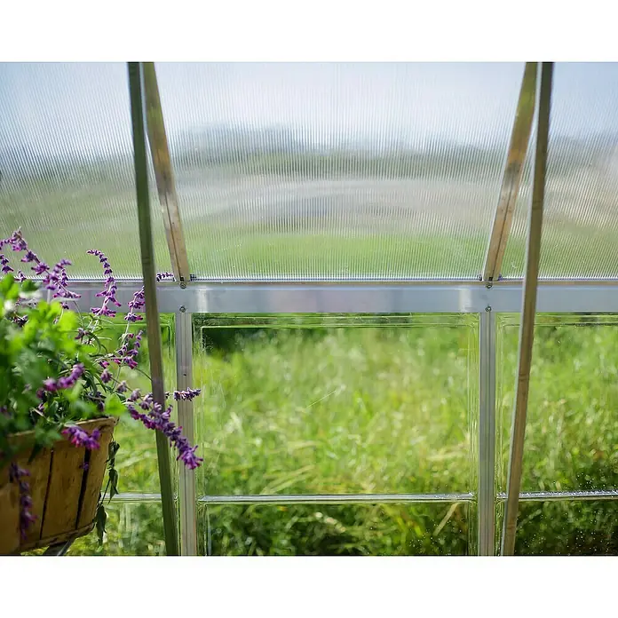 Palram – Canopia Invernadero Balance - Medidas ext. (An x Pr): 304 x 964 cm, 0,7 mm, Plateado - Primer plano de un invernadero que enmarca una exuberante vegetación y una planta colgante con delicadas flores púrpuras.