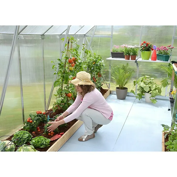 Palram – Canopia Invernadero Essence - Medidas ext. (An x Pr): 244 x 487 cm, Material de la pared lateral: Plástico, 6 mm, Plateado - Una mujer con sombrero cuida plantas de tomate en un invernadero, en una escena llena de placer jardinería y belleza natural.