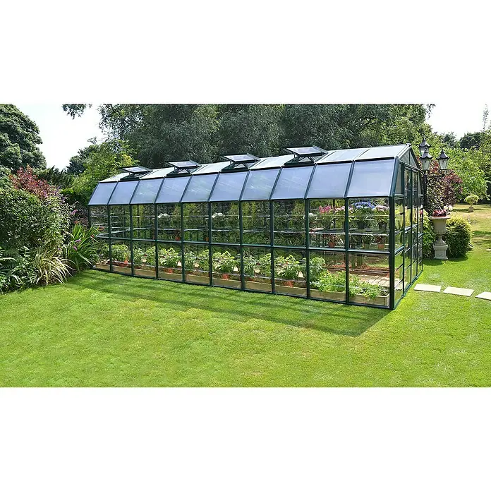 Palram – Canopia Invernadero Grand Gardener - Medidas ext. (An x Pr): 264,7 x 637,3 cm, Material de la pared lateral: Plástico, 0,8 mm, Verde - Un invernadero con paredes transparentes y estructura negra, rodeado de vegetación. El interior está lleno de plantas visibles a través del cristal.