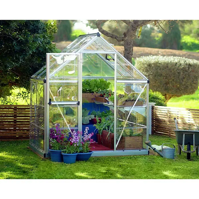 Palram – Canopia Invernadero Harmony - Medidas ext. (An x Pr): 185 x 126 cm, Plateado, Área: 2,3 m² - Primer plano de un invernadero con plantas. Perfecto para cultivar diversas plantas en tu propio jardín.