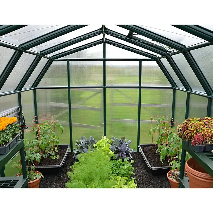 Palram – Canopia Invernadero Hobby Gardener - Medidas ext. (An x Pr): 266 x 266 cm, 6 mm, Verde - Vista interior de un invernadero con diversas plantas y verduras en macetas y recipientes.