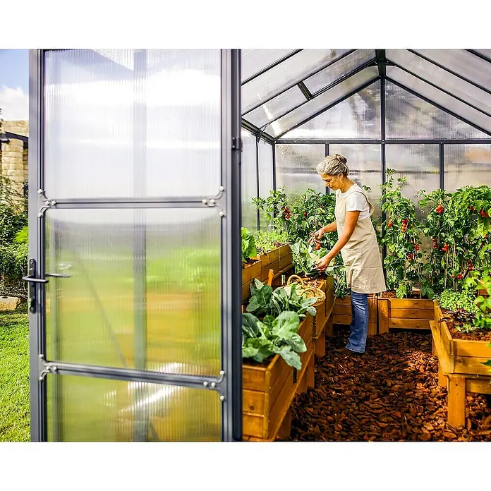 Palram – Canopia Invernadero Glory - Medidas ext. (An x Pr): 244,5 x 244 cm, 10 mm, Antracita - Un invernadero con una mujer cuidando plantas, que ofrece un espacio ideal para cultivar hortalizas y hierbas aromáticas.