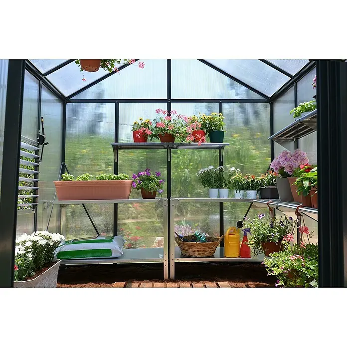 Palram – Canopia Invernadero Glory - Medidas ext. (An x Pr): 244,5 x 244 cm, 10 mm, Antracita - Vista interior de un invernadero con plantas en estantes, destacando la tranquilidad y productividad de la jardinería.