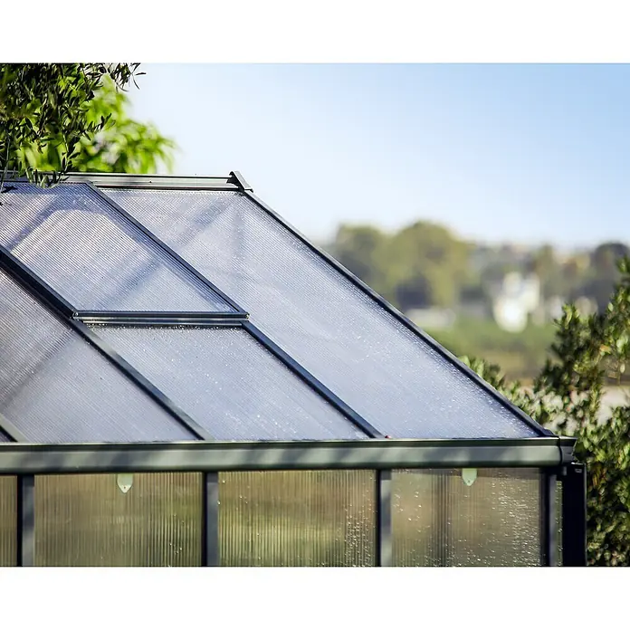Palram – Canopia Invernadero Glory - Medidas ext. (An x Pr): 244,5 x 364 cm, 10 mm, Antracita - Vista detallada de un techo de invernadero con ventanas y revestimiento transparente. La construcción es robusta y resistente a la intemperie.