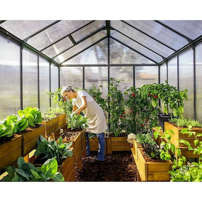 Palram – Canopia Invernadero Glory - Medidas ext. (An x Pr): 244,5 x 364 cm, 10 mm, Antracita - Una mujer está cultivando en un invernadero con bancales elevados llenos de verduras y plantas, creando un ambiente exuberante y verde.